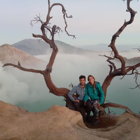 Thalia Homestay & Ijen Bromo Tour Banyuwangi  Exterior foto
