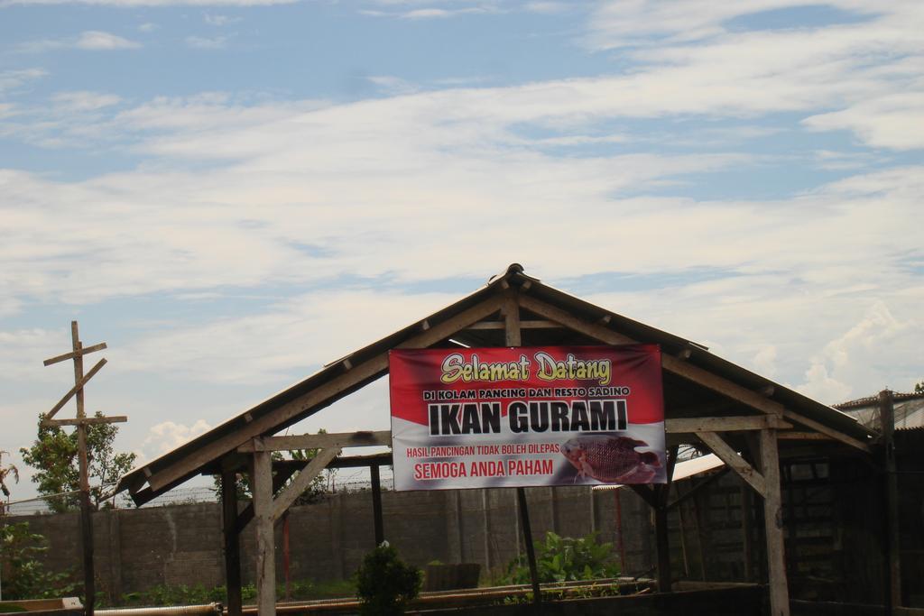 Thalia Homestay & Ijen Bromo Tour Banyuwangi  Exterior foto