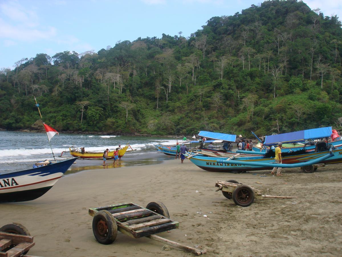 Thalia Homestay & Ijen Bromo Tour Banyuwangi  Exterior foto